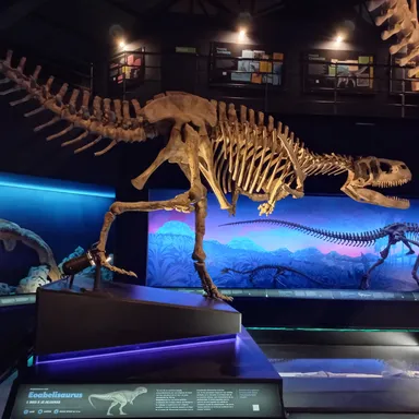 Eoabelisaurus