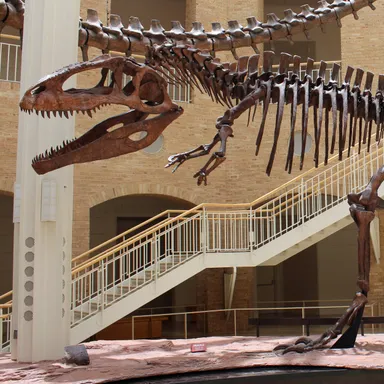 Giganotosaurus