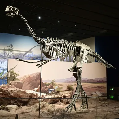 Gigantoraptor