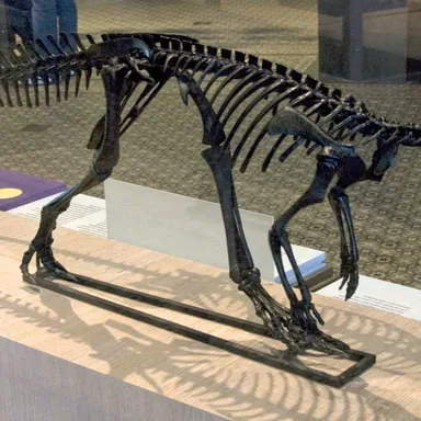 Hypsilophodon