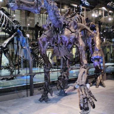 Iguanodon