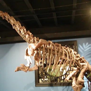 Jingshanosaurus