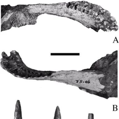 Karongasaurus