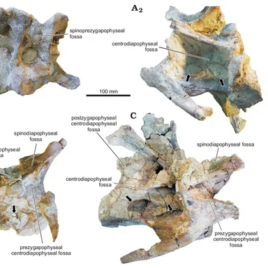 Katepensaurus