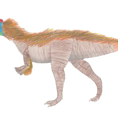 Kayentavenator