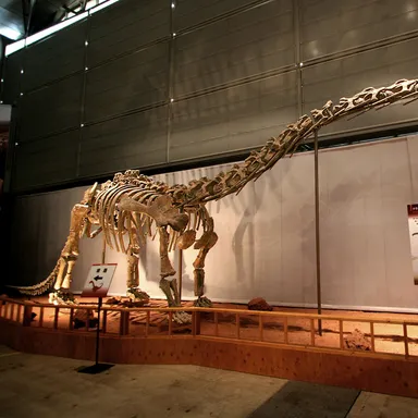 Klamelisaurus