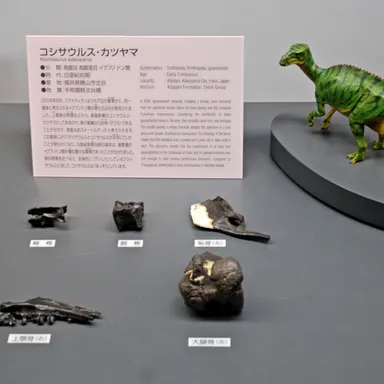 Koshisaurus