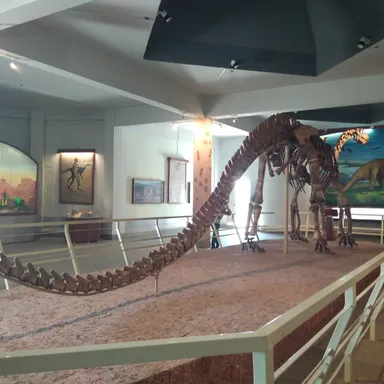 Kotasaurus