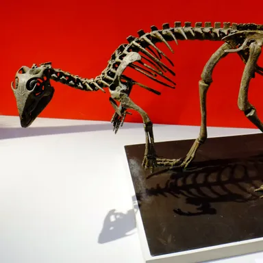 Kulindadromeus