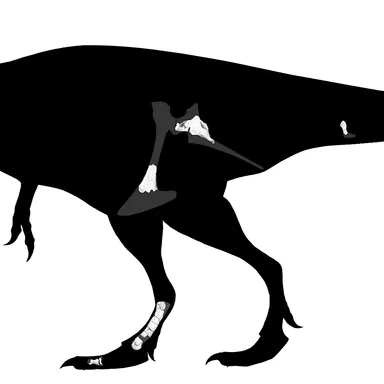 Labocania
