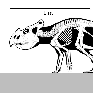 Lamaceratops