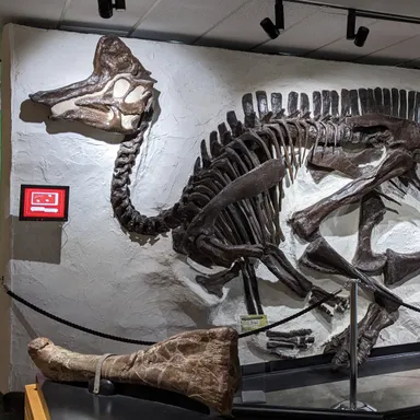 Lambeosaurus