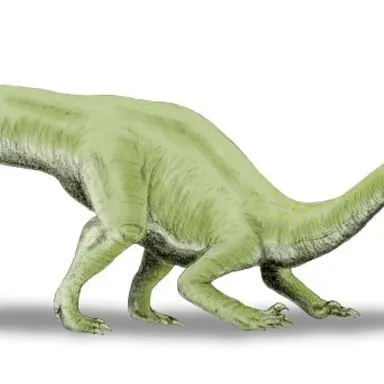 Lamplughsaura