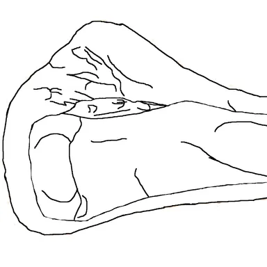 Laplatasaurus