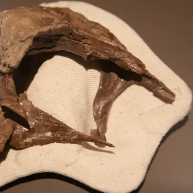 Latenivenatrix