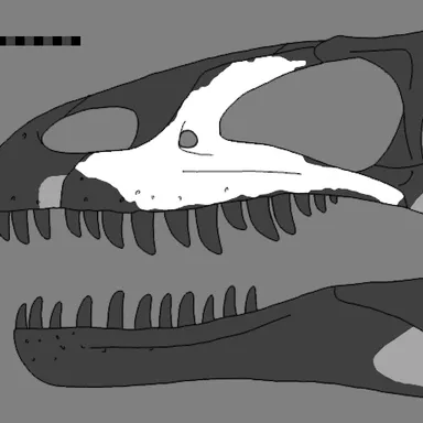 Leshansaurus
