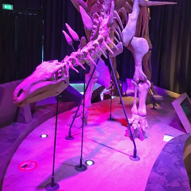 Lexovisaurus
