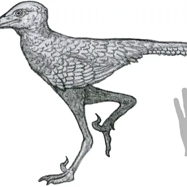 Liaoningvenator