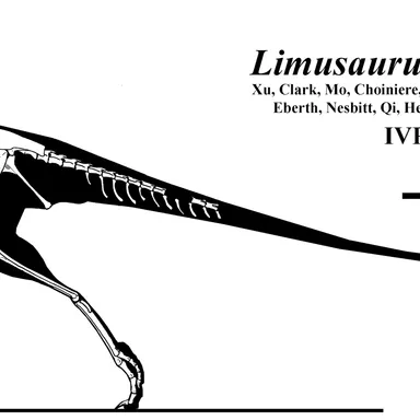 Limusaurus
