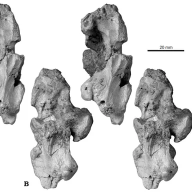 Lirainosaurus