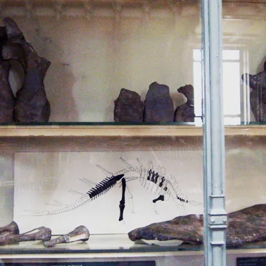 Loricatosaurus