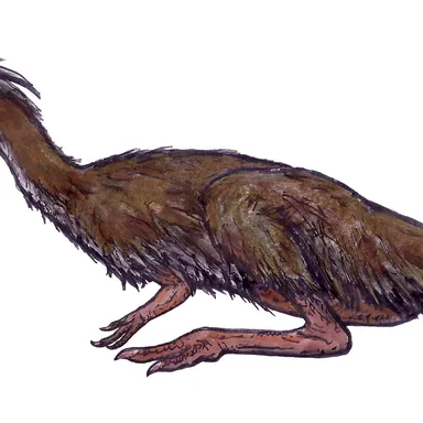 Lucianovenator