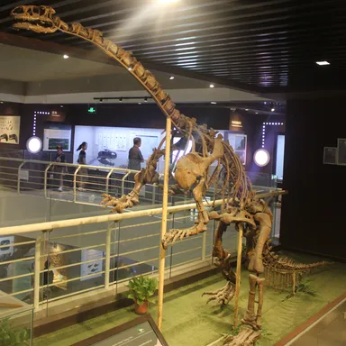Lufengosaurus