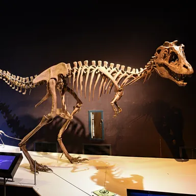 Lythronax