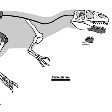 Magnosaurus