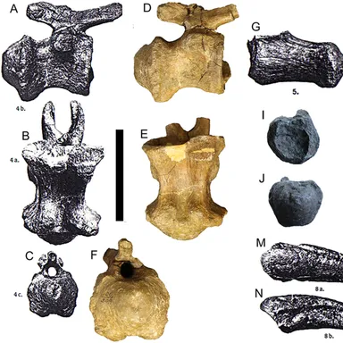 Magyarosaurus