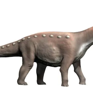 Mansourasaurus