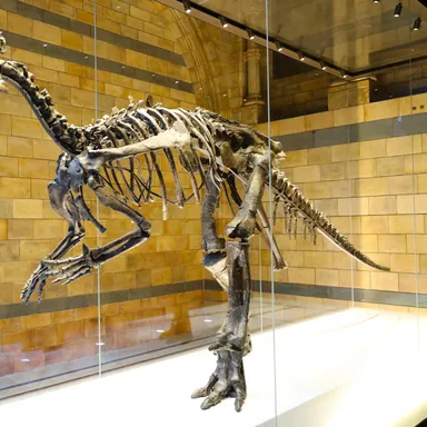 Mantellisaurus