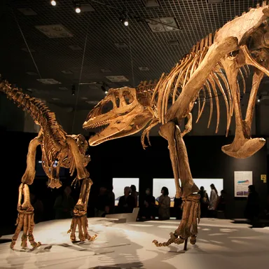 Mapusaurus