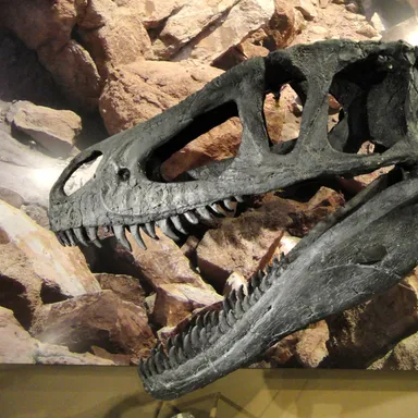 Marshosaurus
