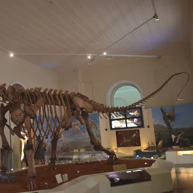 Maxakalisaurus