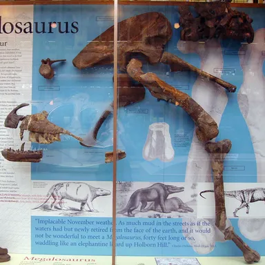 Megalosaurus