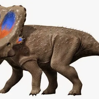 Mercuriceratops