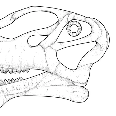 Mierasaurus