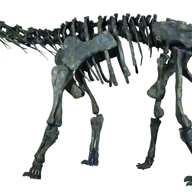 Moabosaurus