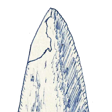Mongolosaurus