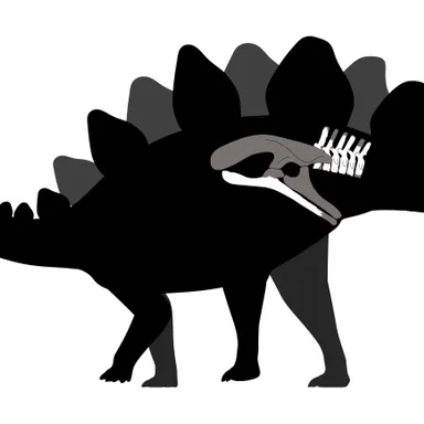 Mongolostegus