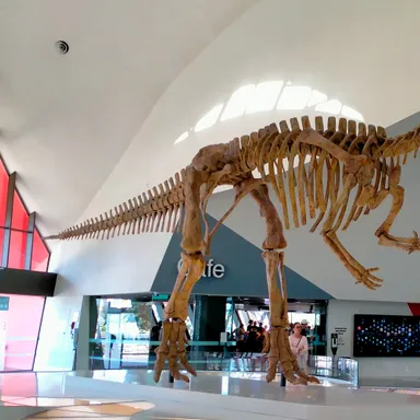 Muttaburrasaurus