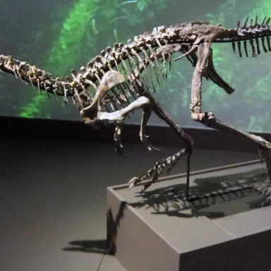Nanosaurus