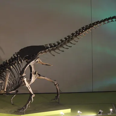 Nanuqsaurus