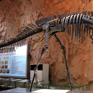 Nanyangosaurus
