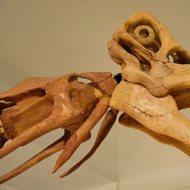 Nemegtosaurus