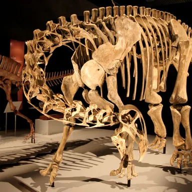Nigersaurus
