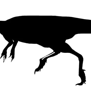Noasaurus