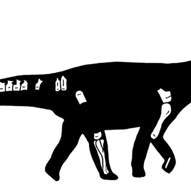 Nullotitan