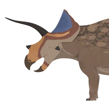 Ojoceratops